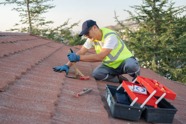 Best Roof Maintenance and Cleaning  in Webberville, MI